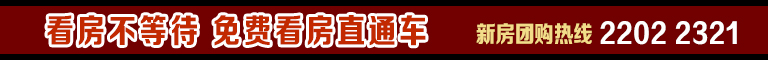看房团