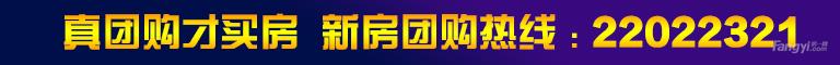 看房团